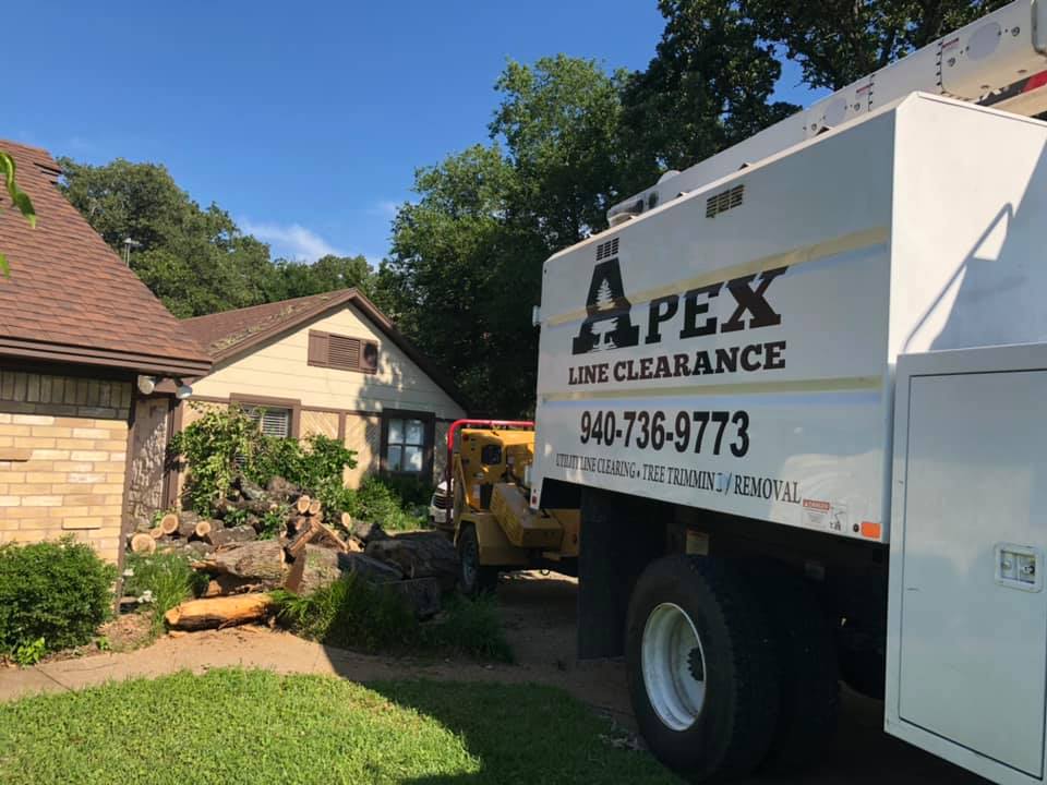 Apex Line Clearance clearing trees in a residential area