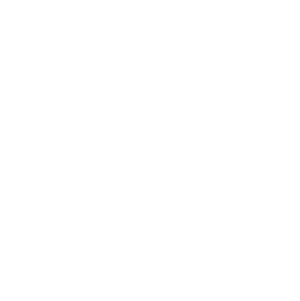American Rentals Association