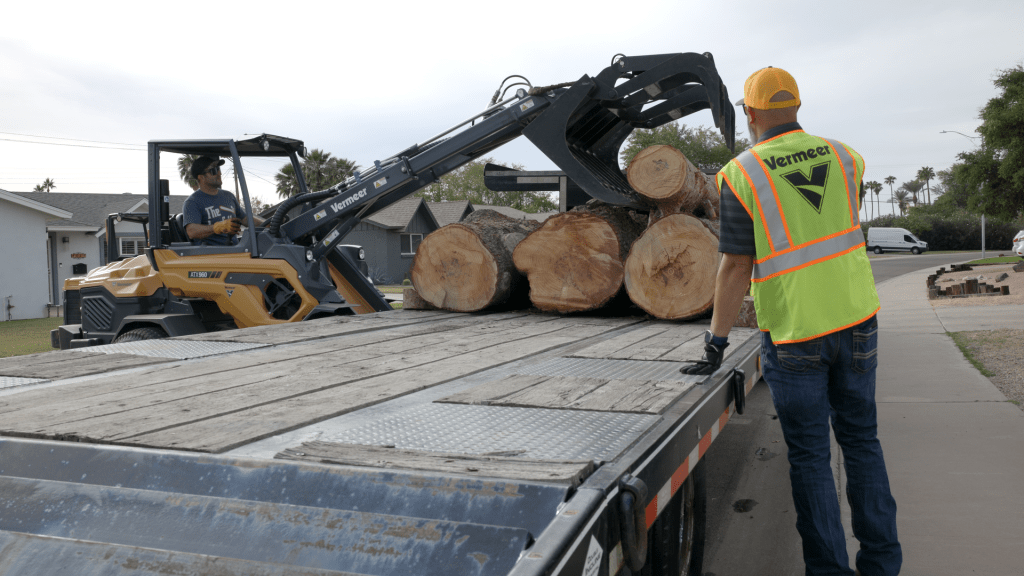 On The Job with AZ Tree Trimming and Removal