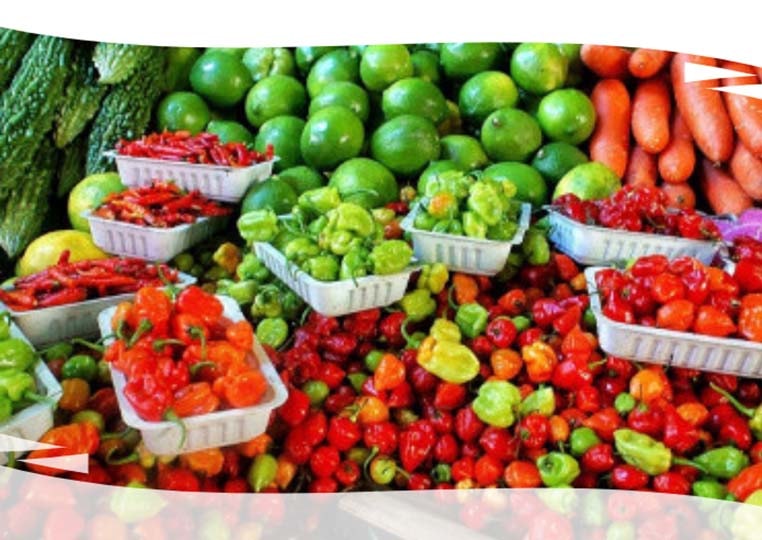 Grocery Utility Vehicle